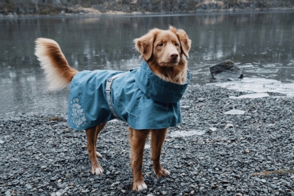 Hurtta Hunde-Regenmantel Monsoon coat blau